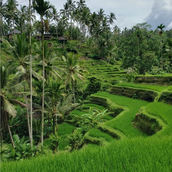 Meet your Posher, Torrey - Picture 14 of 14